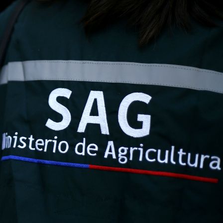 Trámites en SAG